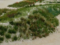 DSCN0807.JPG